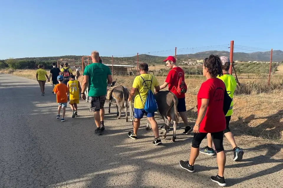 Una passeggiata fuori dalla fattoria