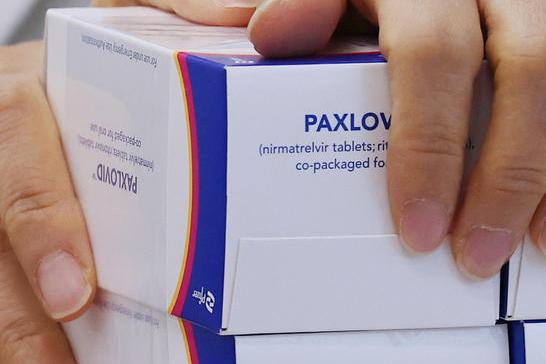 Paxlovid (foto Ansa/Epa)