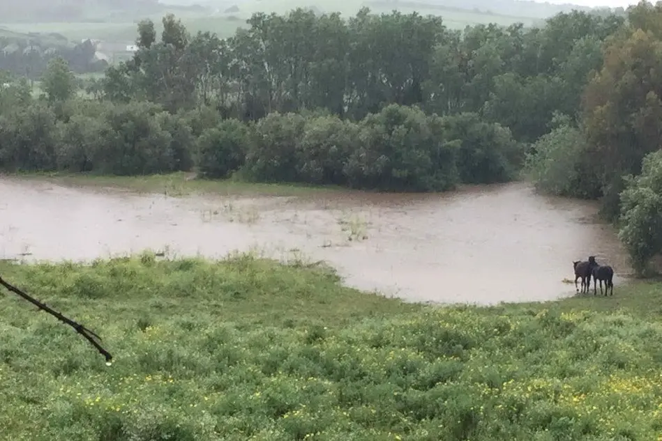 Gli effetti dell'alluvione del 2017 in provincia di Oristano (foto L'Unione Sarda - Sanna)