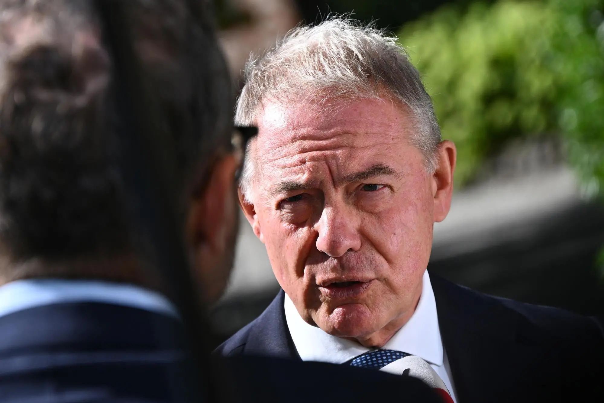 Il ministro Adolfo Urso (Ansa)