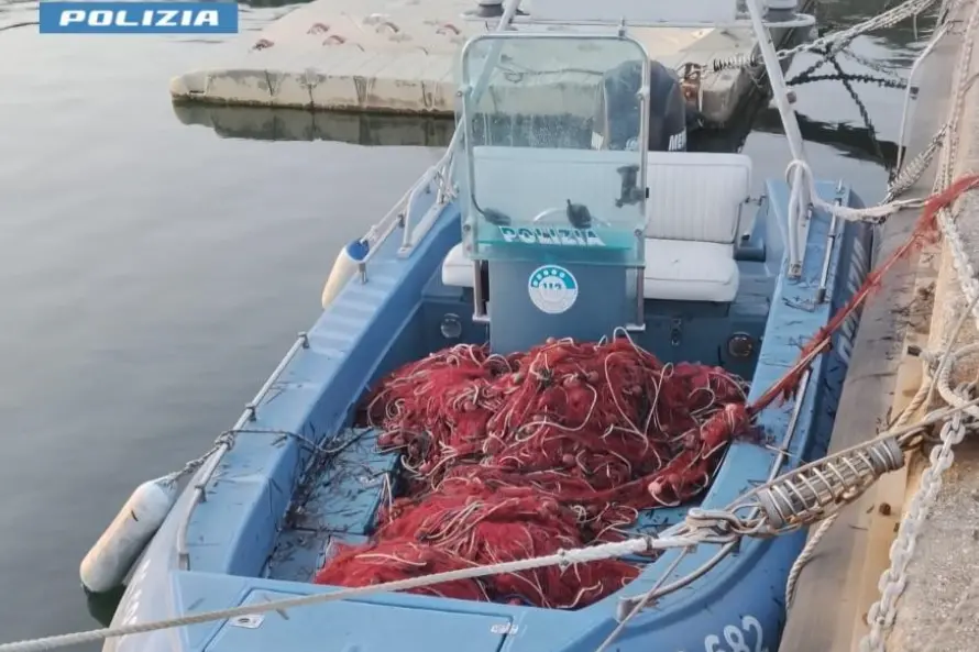 Die beschlagnahmten Netze (Polizeifoto)