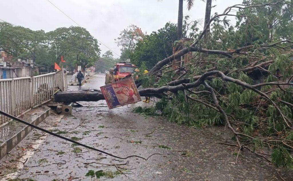 Un albero abbattuto in una città del Bengala (Ansa - Str)