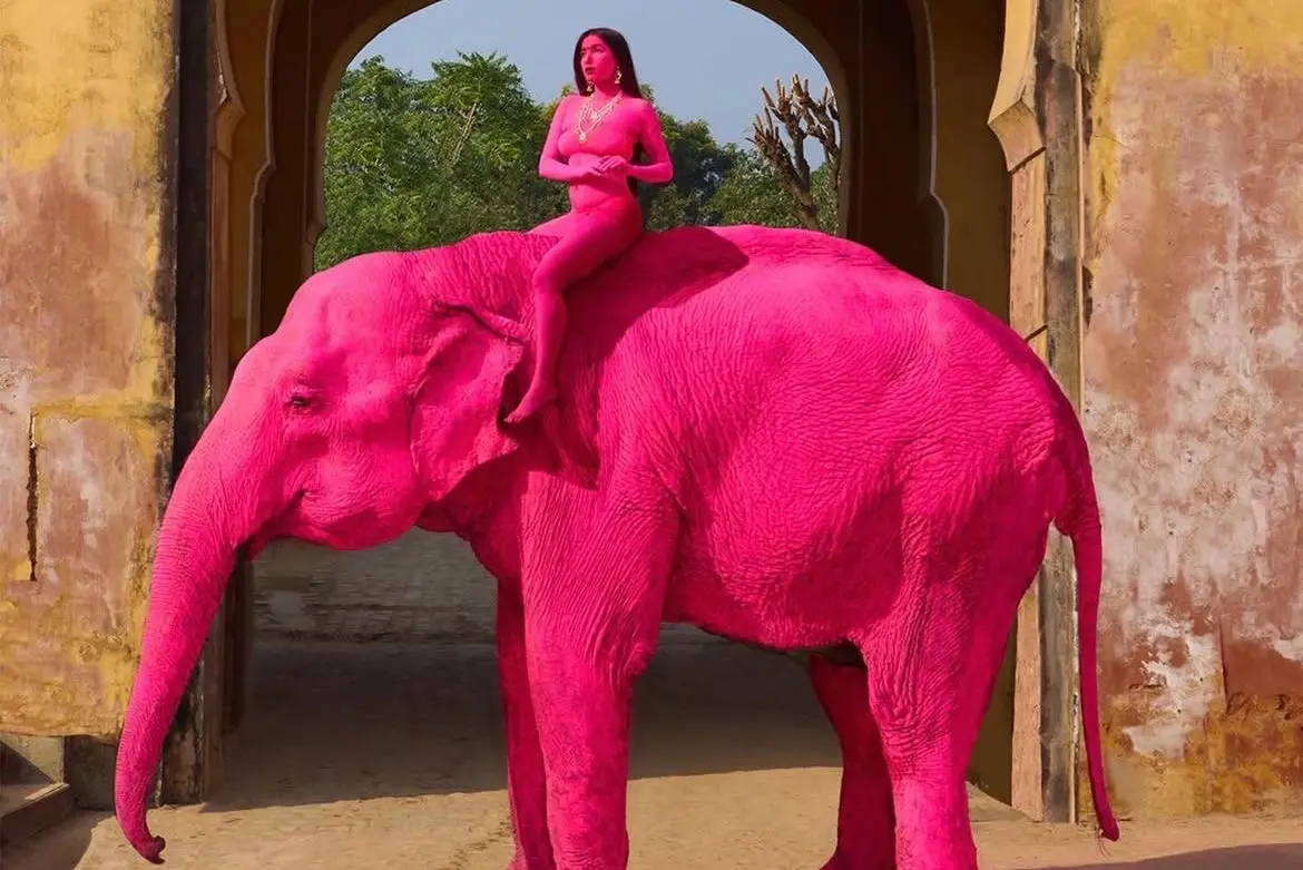 Il servizio fotografico (foto da Instagram)