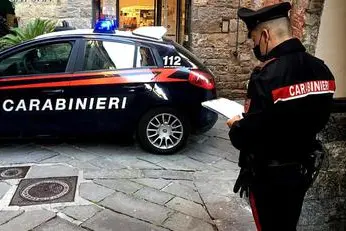 Un controllo dei carabinieri (foto Ansa)