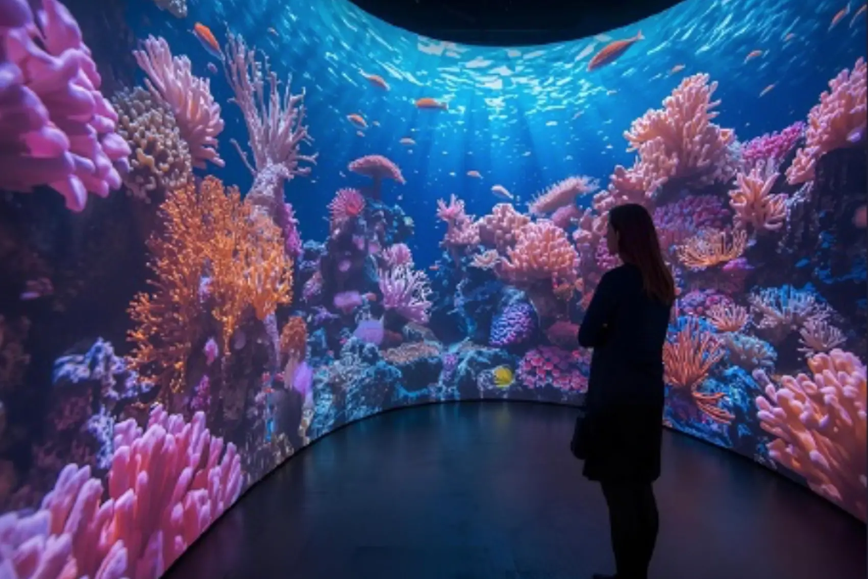 L'installazione del Conservatorio di Sassari (foto ufficio stampa)