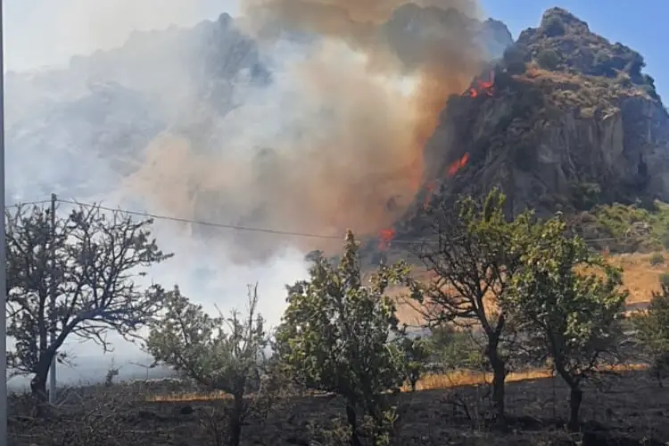 L'incendio a Giave (foto concessa)