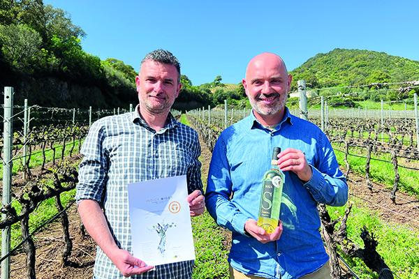 Siddùra premiata con il Gold dell’Indice Bigot per la qualità dei vigneti