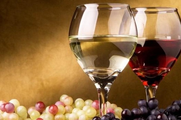 Promozione del vino, gli incentivi (foto simbolo Ansa)
