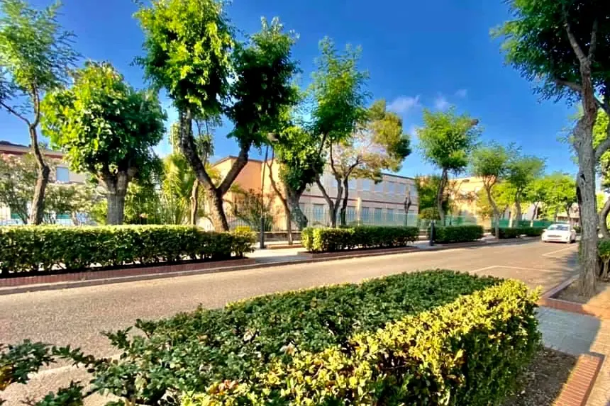 Bosa