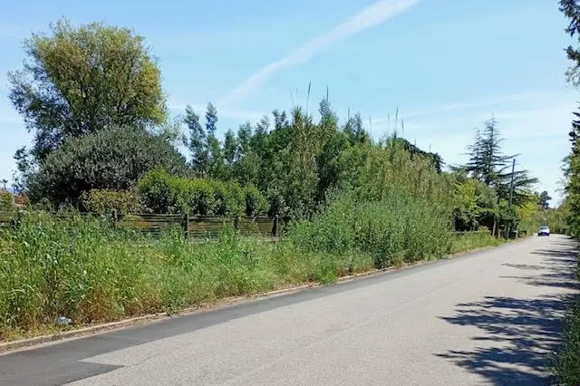 La strada (Foto Sara Pinna)