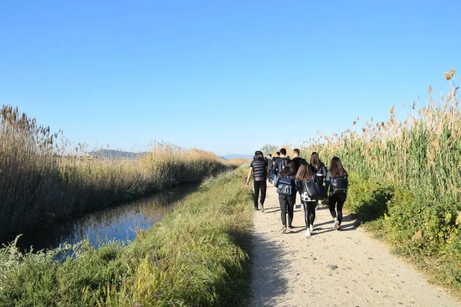 Gli studenti al parco di Molentargius