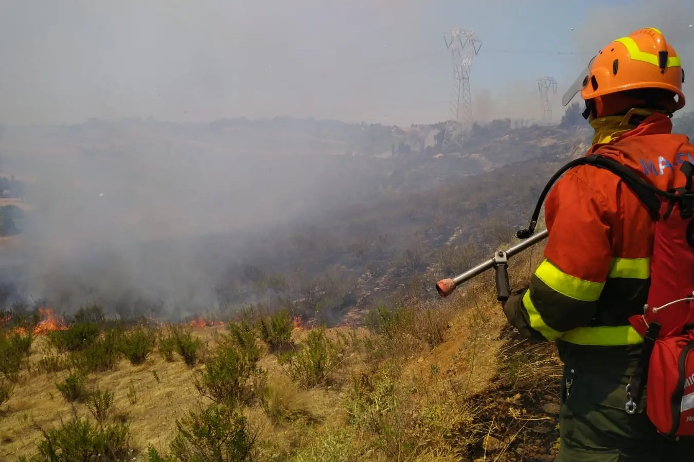 L'incendio sulla statale 387 (foto Serreli)