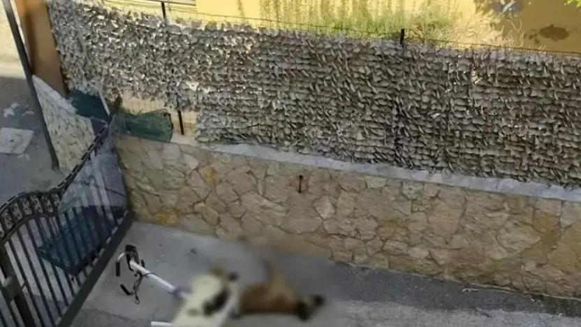 https://immagini.unionesarda.it/version/c:Yjc5MWI4YjktYjdiMS00:NDU5YTcwZjQtNGQxYS00/image.webp?f=16:9