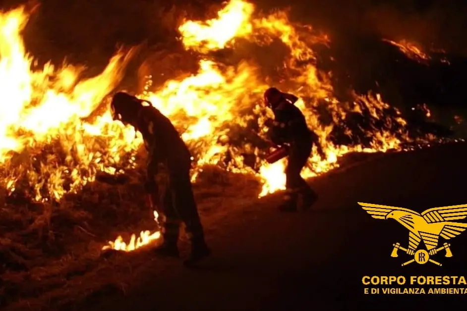 The fire of July 2021 in Cabras (photo by the Forestry Corps)