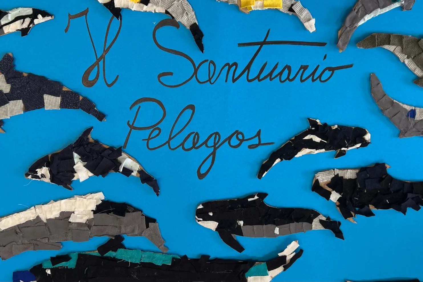 Uno dei lavori di un laboratorio per il Santuario Pelagos