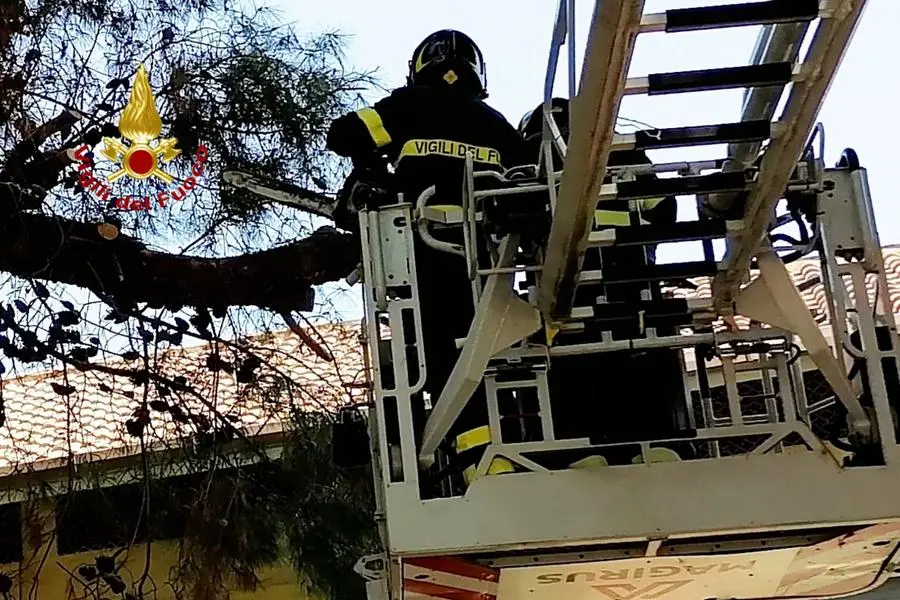 L'intervento dei pompieri (Foto Vigili del fuoco)