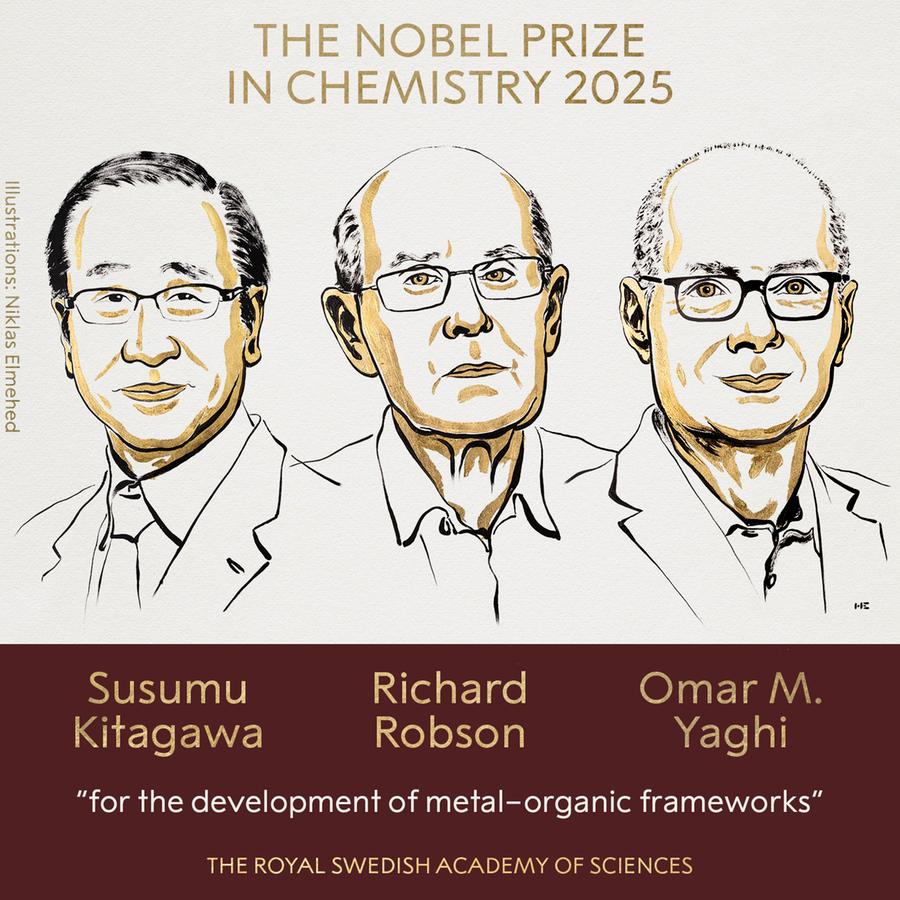 Il Nobel per la chimica a Kitagawa, Robson e Yaghi "per lo sviluppo di strutture metallo-organiche”