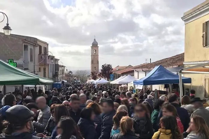 La Sagra del carciofo selvatico a Tissi (foto concessa)