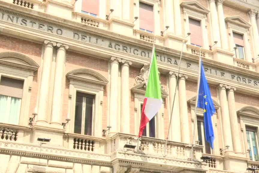 A Fano 24a edizione del BrodettoFest