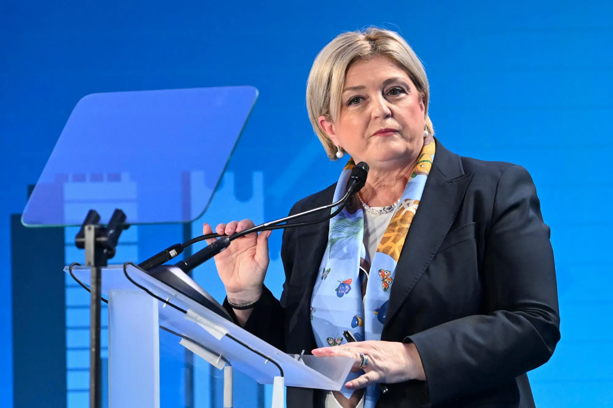 La ministra Marina Elvira Calderone (Ansa)