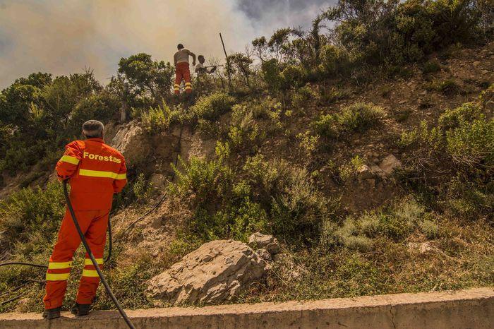 Incendi, dipendenti Forestas in sciopero