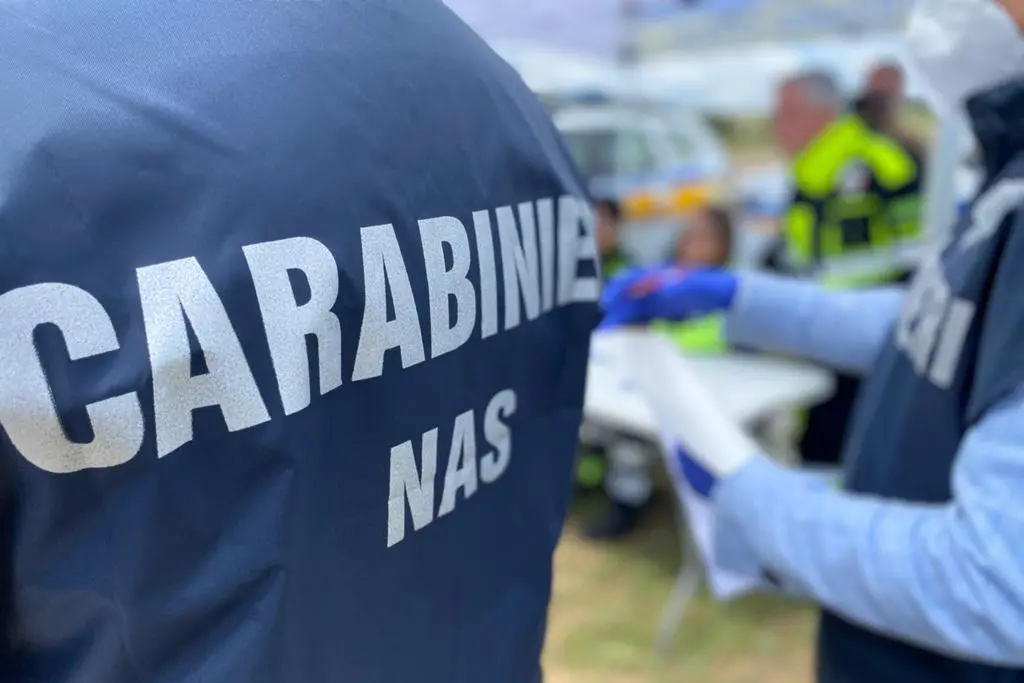 I carabinieri del Nas (Archivio)