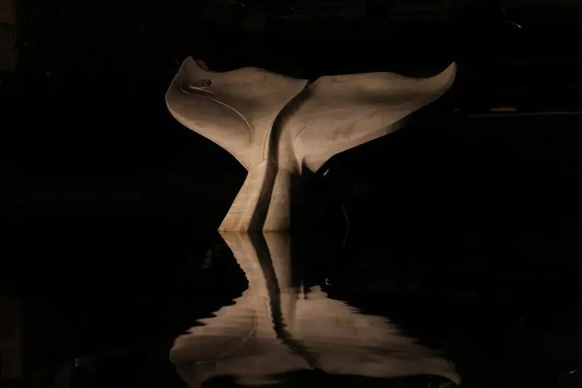 La scultura di una balena nel mare di Stintino (foto L'Unione Sarda - Pala)