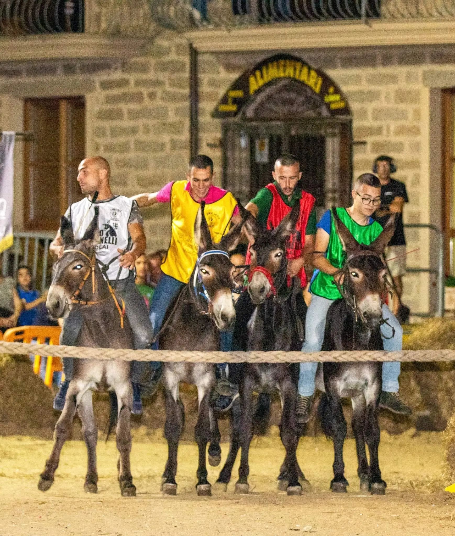 Il Palio degli asinelli a Ollolai (foto Locci)