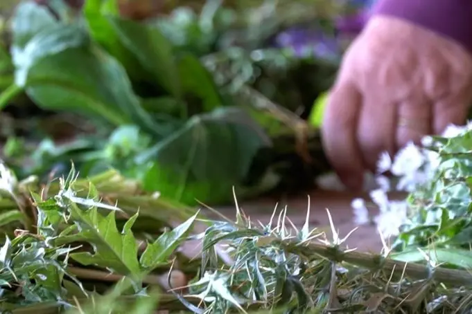 L'evento a Villanova Monteleone (foto concessa)