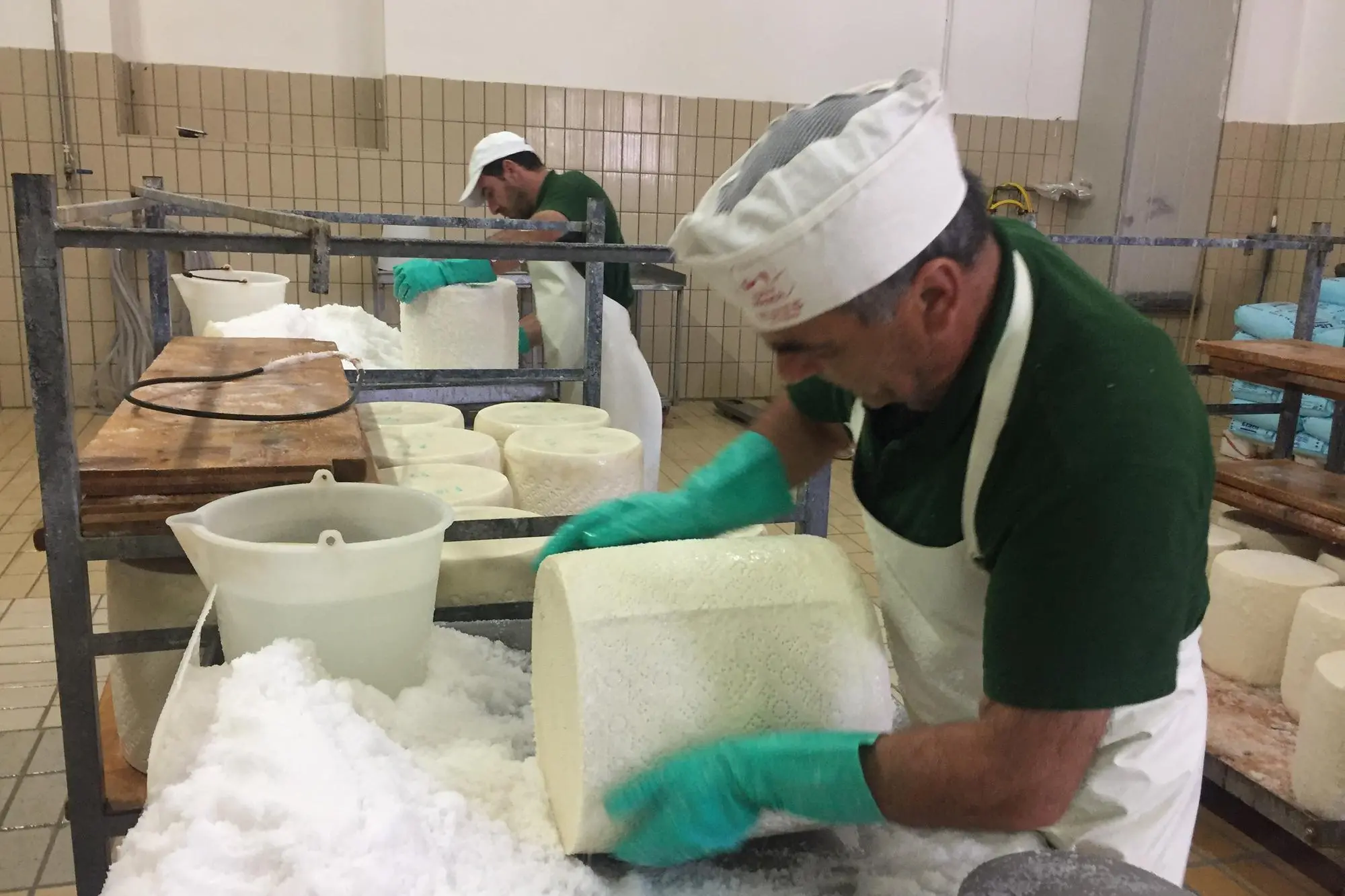 La lavorazione del Pecorino Romano in un caseificio