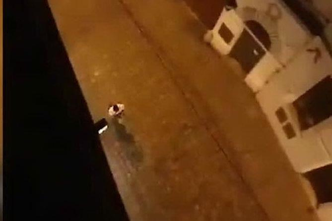 Vienna, l'attentatore spara per strada: le immagini riprese dalla finestra
