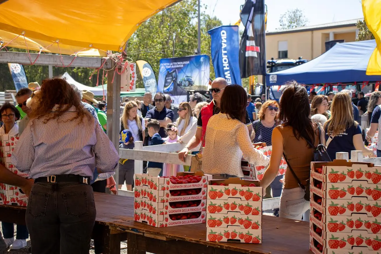 La sagra delle fragole lo scorso anno (Foto concessa)
