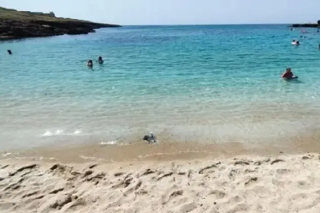 La spiaggia di Porto Palmas (archivio)