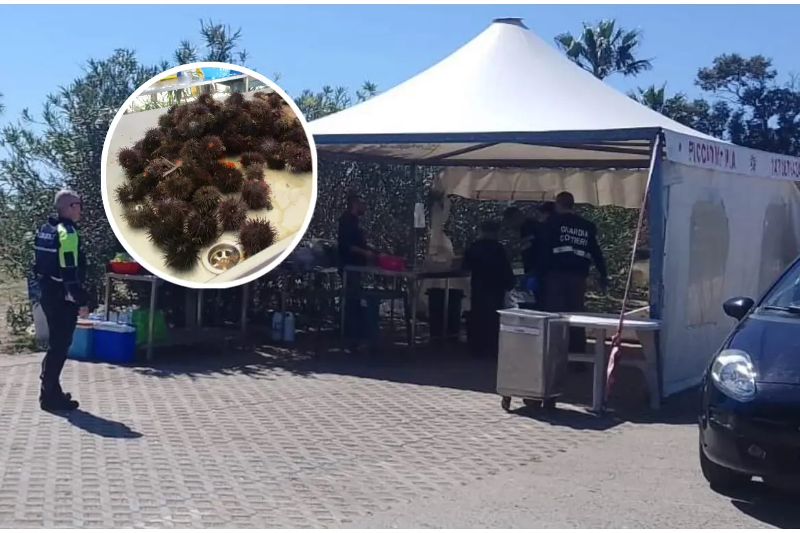 Il chiosco sequestrato e alcuni ricci (foto concesse)