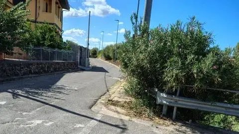 https://immagini.unionesarda.it/version/c:YjhlZDA3ZTMtYmJiOC00:M2UxMTdlNjYtY2MxYi00/image.webp?f=16:9