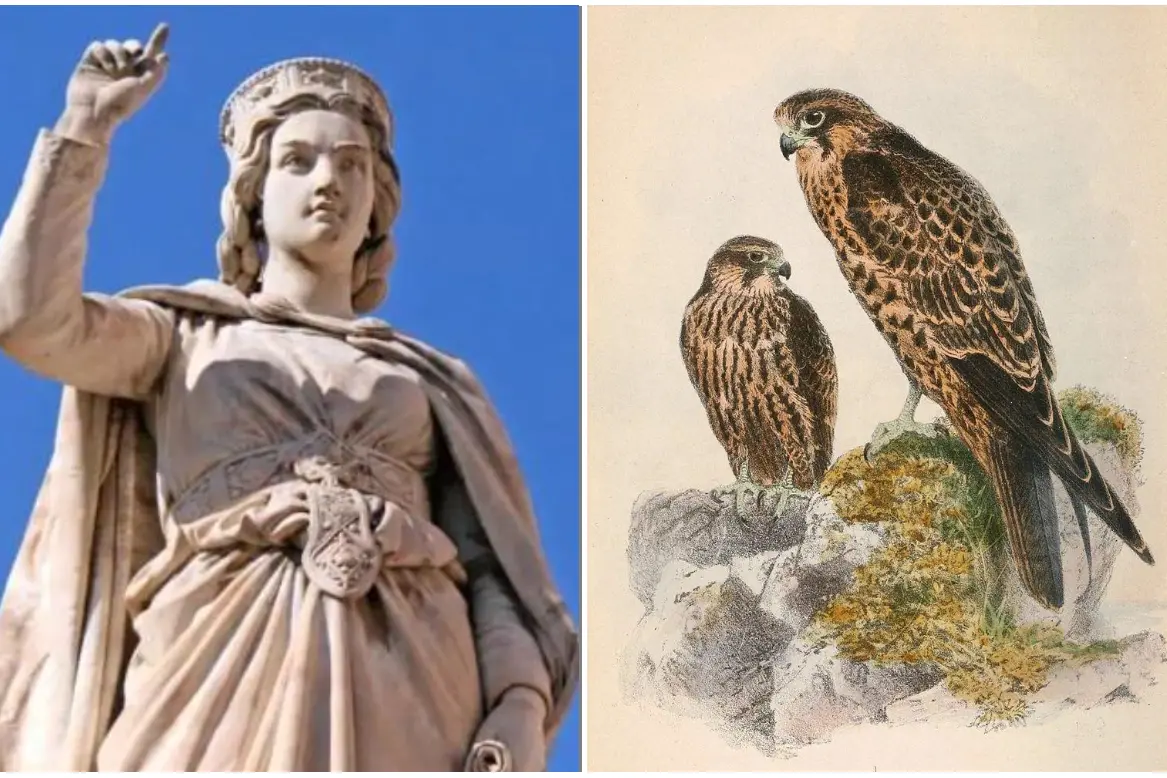 Eleonora d'Arborea e il Falco della Regina