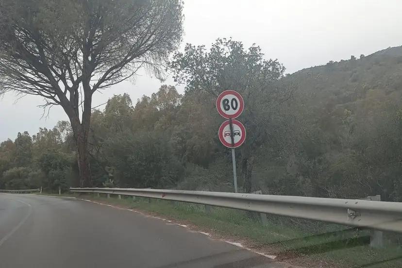 Burcei, ramo si schianta su un’auto: paura per una famiglia