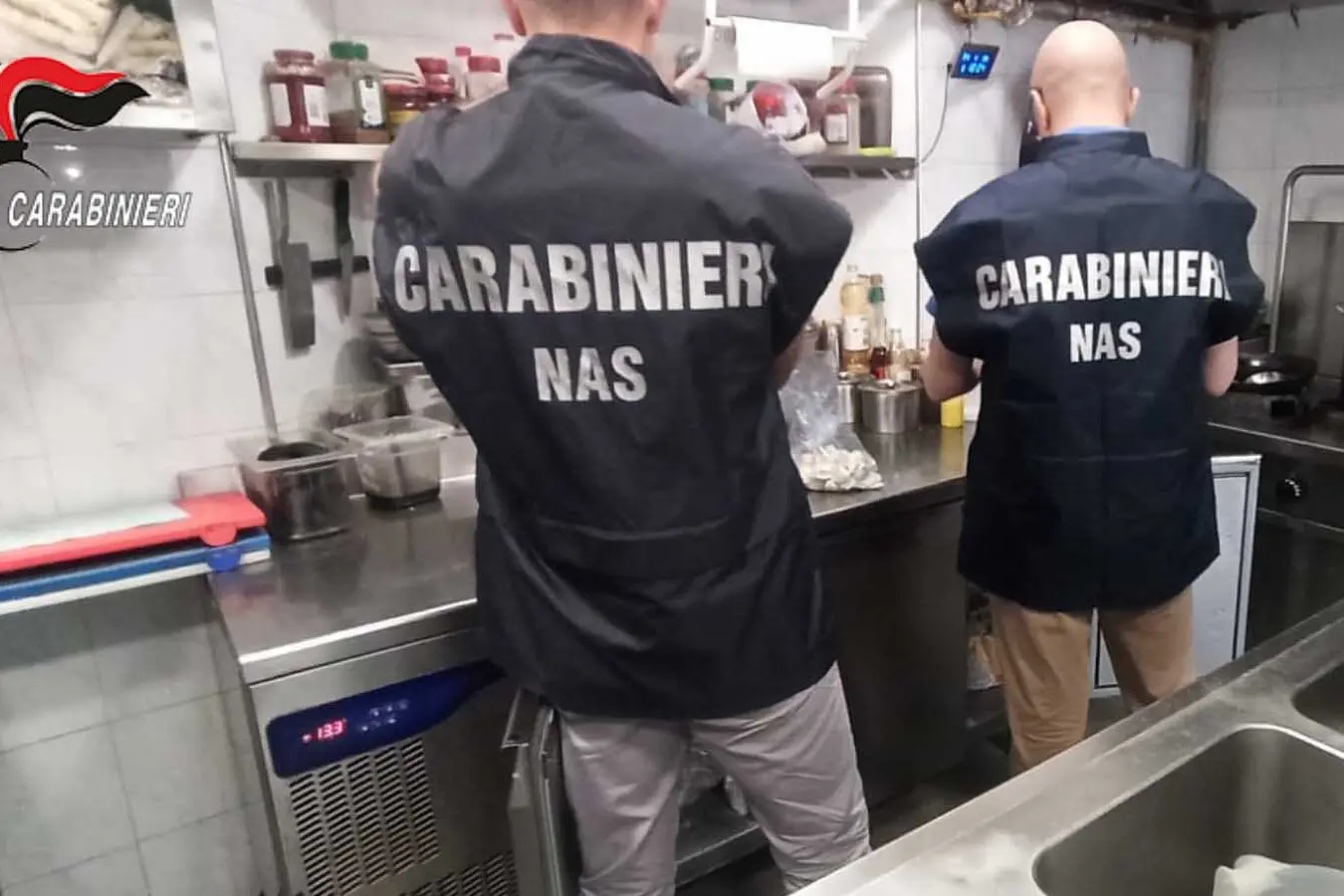 Nas al lavoro (foto carabinieri)