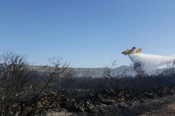 Un Canadair in azione (Ansa)