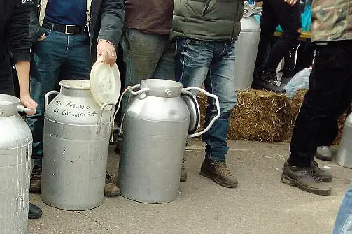 Una delle manifestazioni di protesta del febbraio 2019