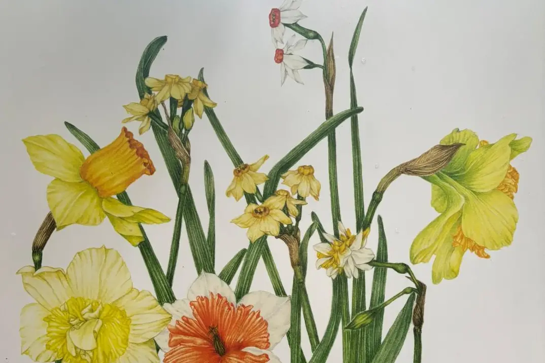 Un acquerello di Lilli Mura