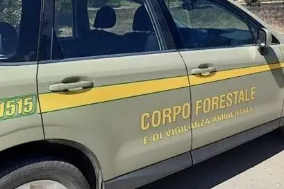Un'auto della Forestale