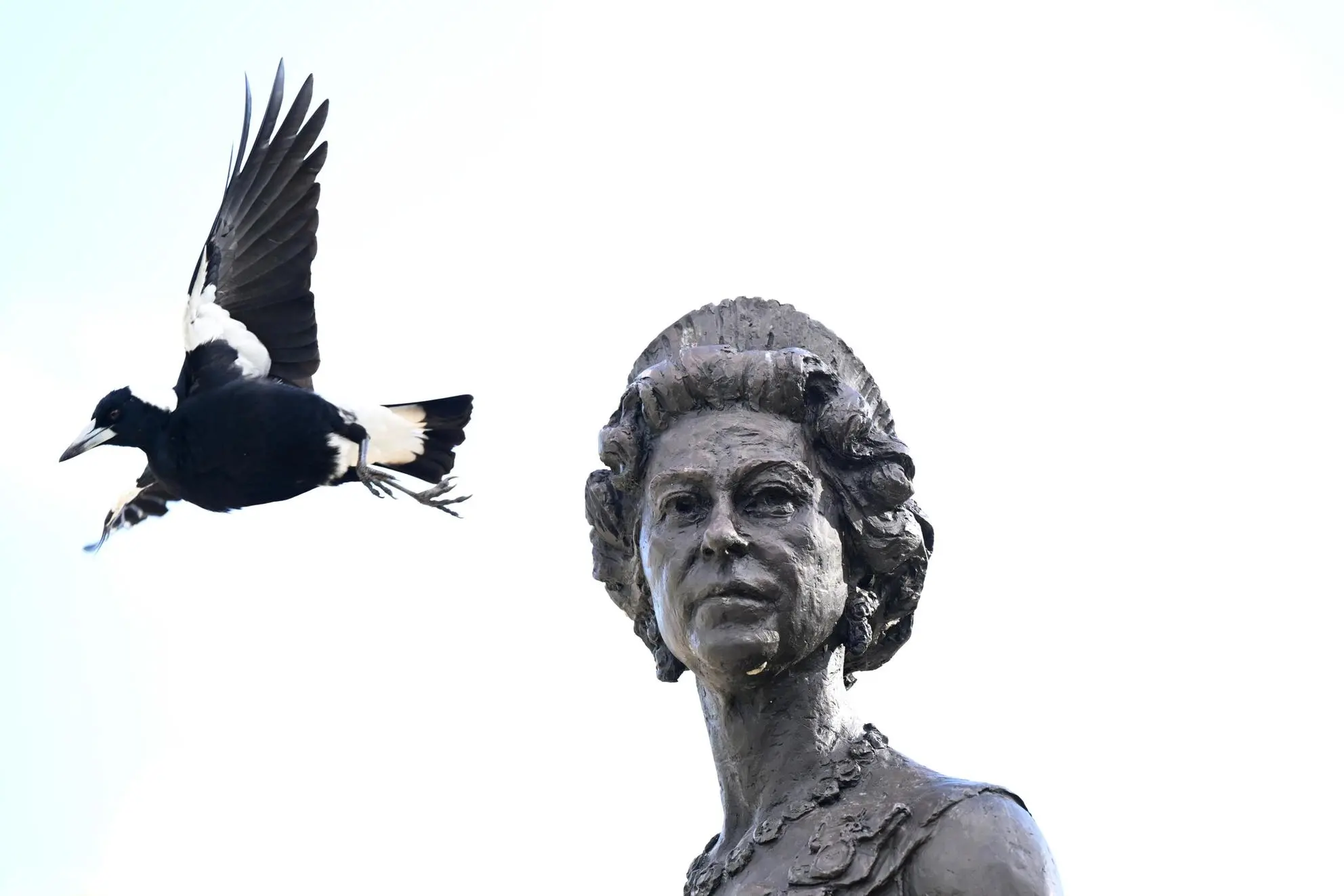 Una statua della regina Elisabetta a Brisbane, Australia (Ansa - Epa)