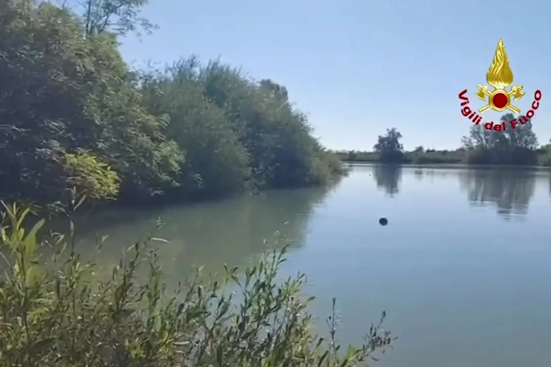 Venezia, finisce con l'auto nel fiume Livenza: morto con i suoi due cani