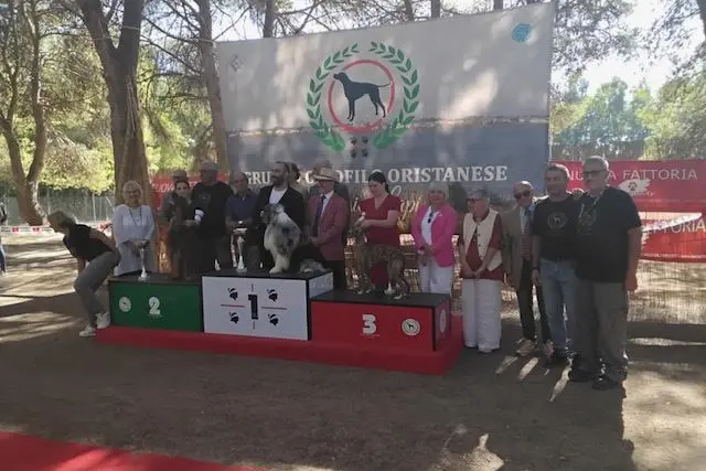 Best In Show a Santa Giusta