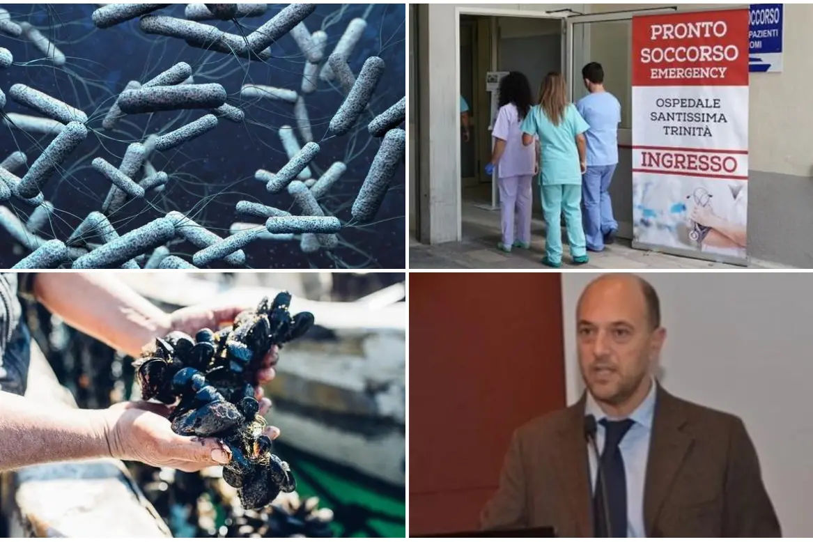 From top, clockwise: cholera under the microscope, the Ss. Trinità hospital, seafood and Professor Goffredo Angioni