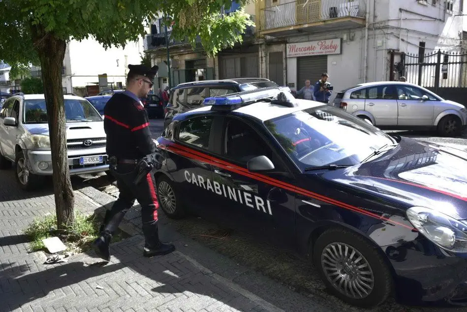 I carabinieri (Ansa)
