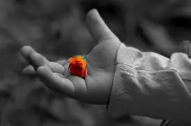 (immagine simbolo, foto www.pixabay.com)