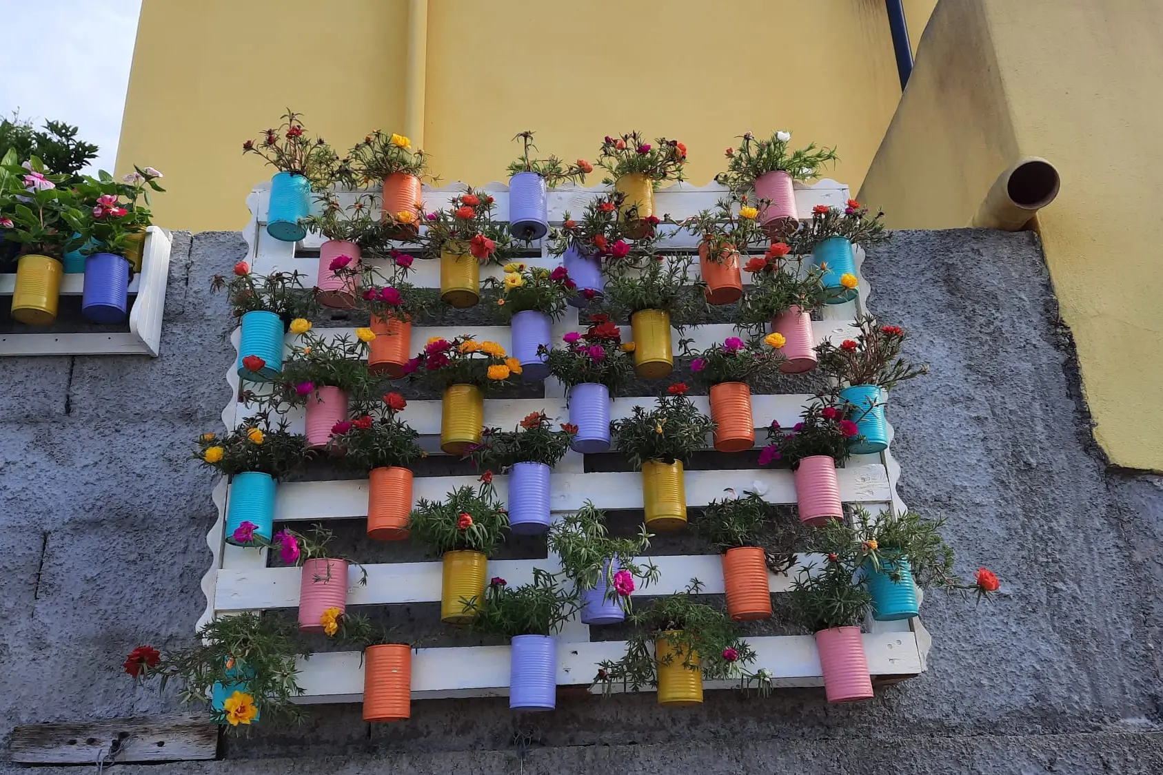 Angolo Fiorito in una delle precedenti edizioni di "Masullas in Fiore" (foto concessa)