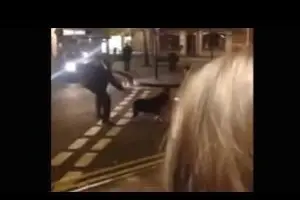 L'attacco del cane poliziotto
